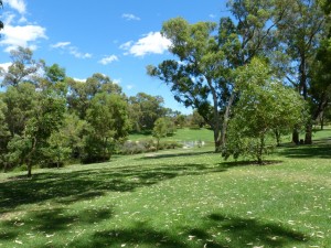Kings Park