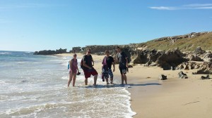 Beach at Penguin Island