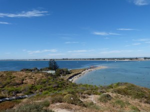 Penguin Island