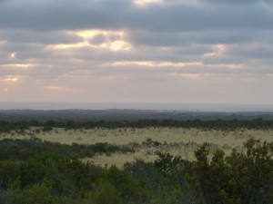 Top of the Pinnacles