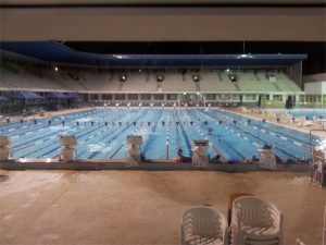 Awesome swimming to be had