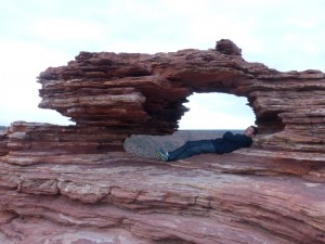 Nature's window