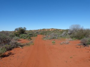 Walk scenery 