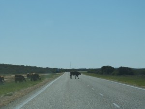 Road hazard