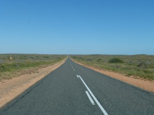 Lots of road