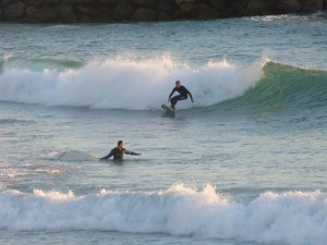 Cottesloe surfers