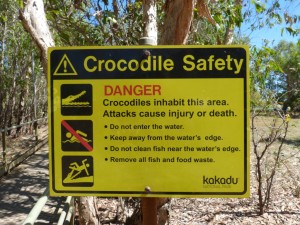 Croc safety