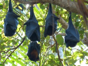Hanging around