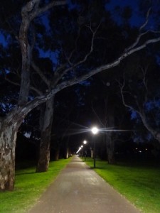 Running track