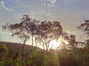 Sunset in Adelaide