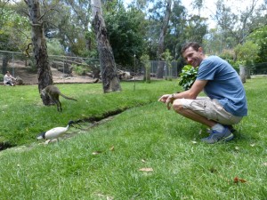 Scaring the wildlife