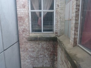 View from the Hostel