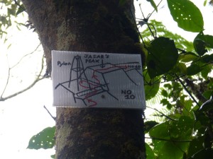 Directions