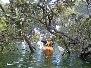 Pro kayaking